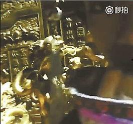 故宫最新爆料事件视频播放 第2张 故宫最新爆料事件视频播放 第2张